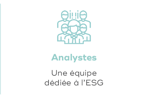 Visuel Analystes