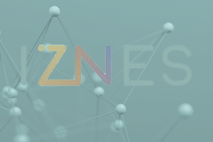 Iznes immobilier